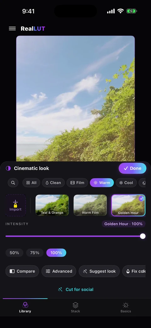RealLUT editor with the Golden Hour look applied to coastal footage
